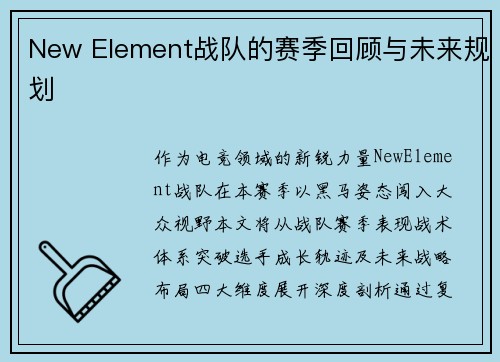 New Element战队的赛季回顾与未来规划