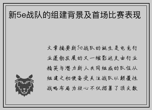 新5e战队的组建背景及首场比赛表现