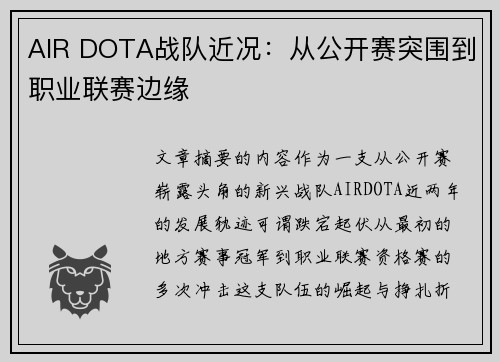 AIR DOTA战队近况：从公开赛突围到职业联赛边缘
